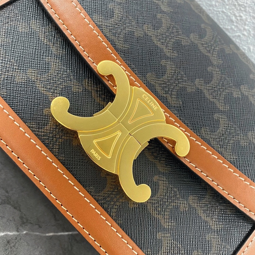 Top Quality Replica Celine Triomphe Teen Bag In Black Triomphe Canvas angle 3