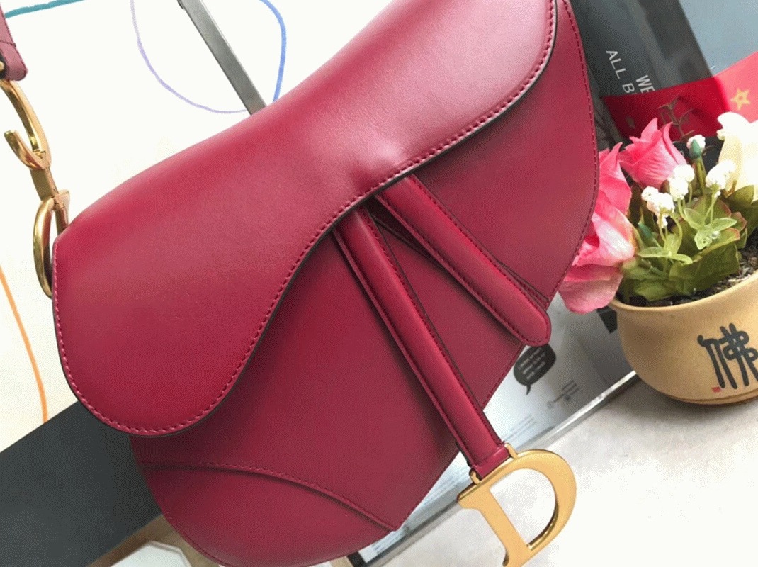 Dior Saddle Bag Replica in Red Smooth Calfskin angle 5