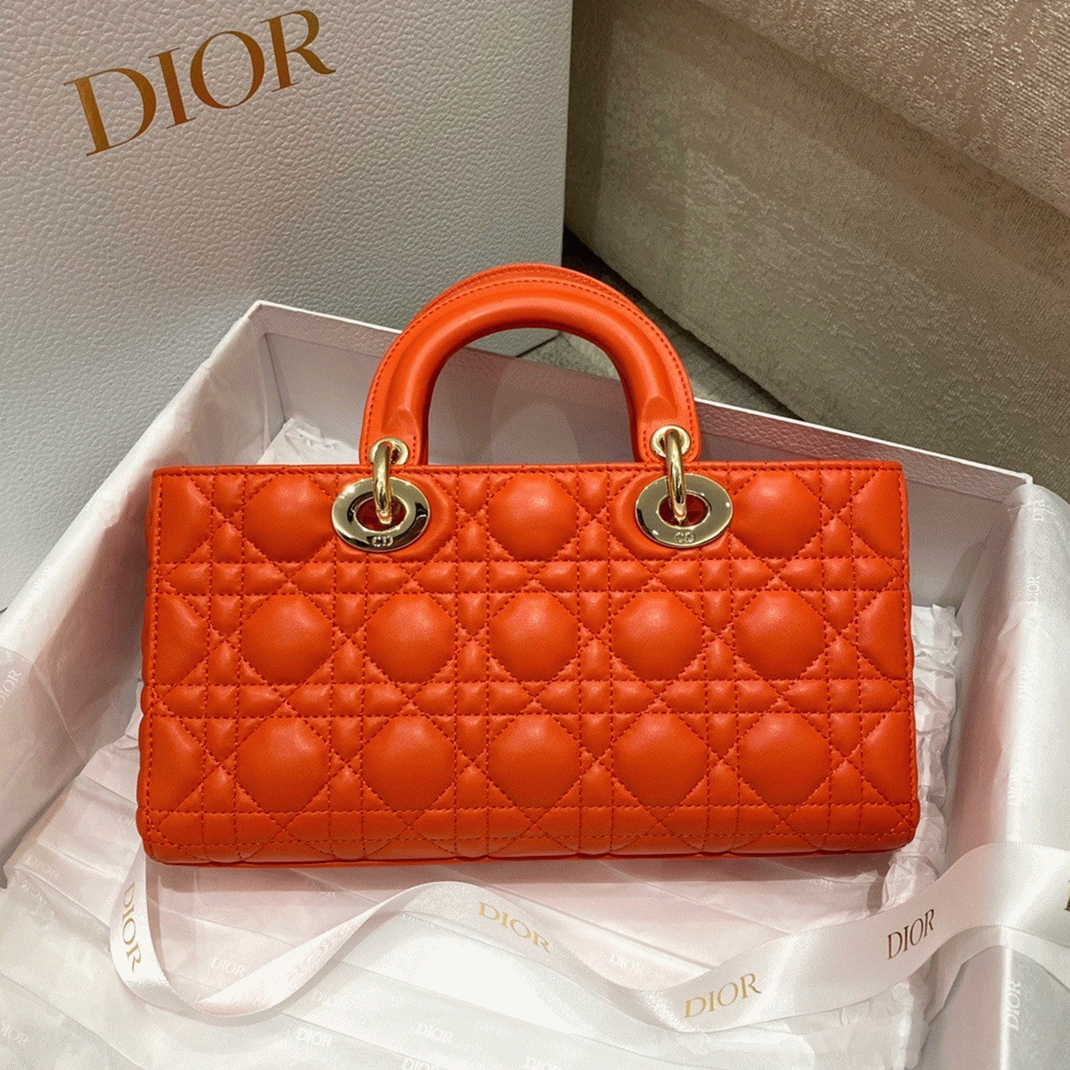 Dior Lady D-Joy Medium Bag Replica in Orange angle 4