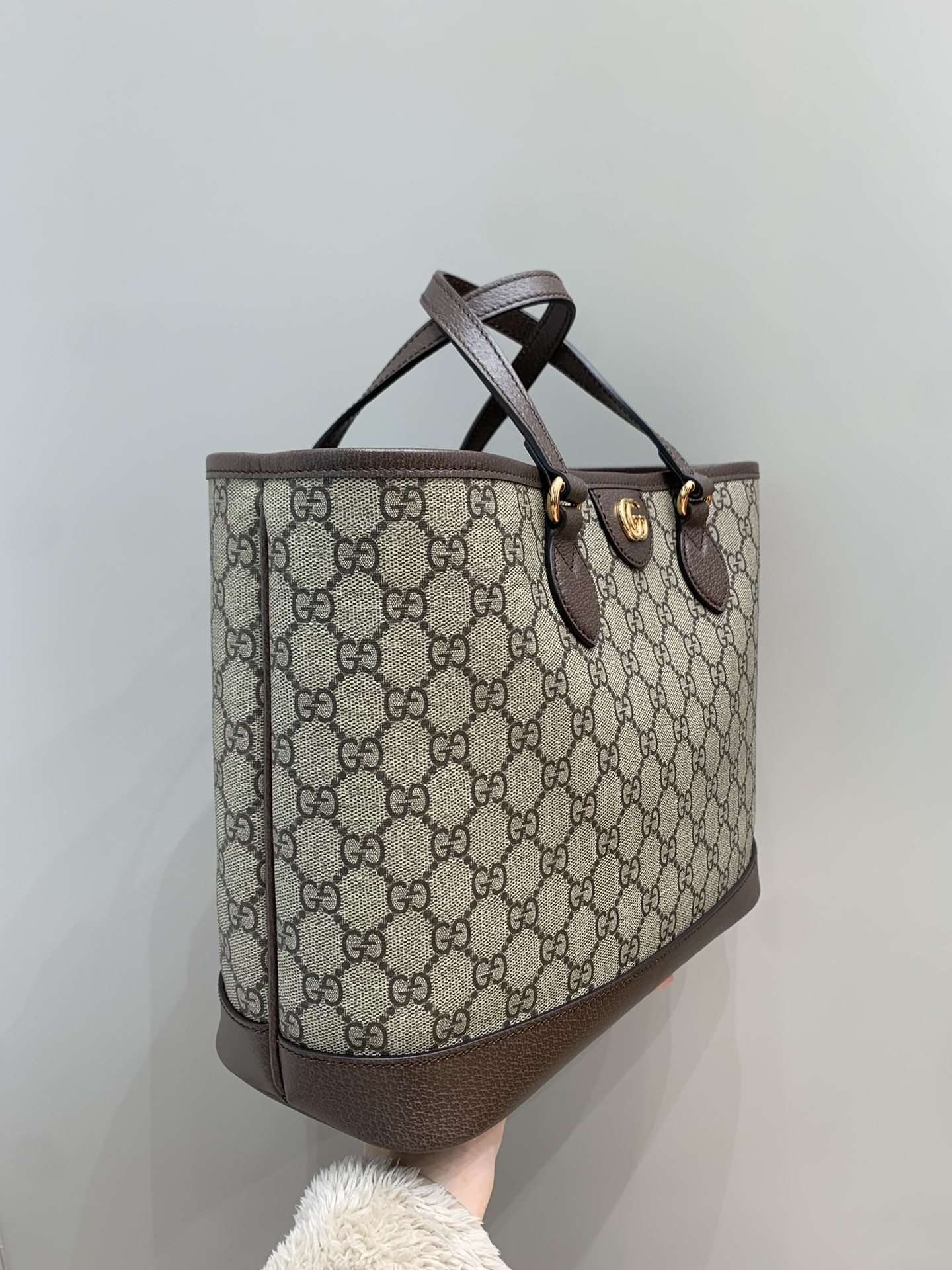 Ophidia mini tote bag angle 5