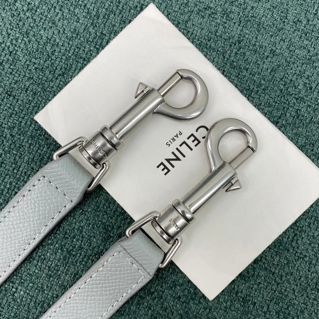 Celine Micro Belt Bag Replica in Mineral angle 3