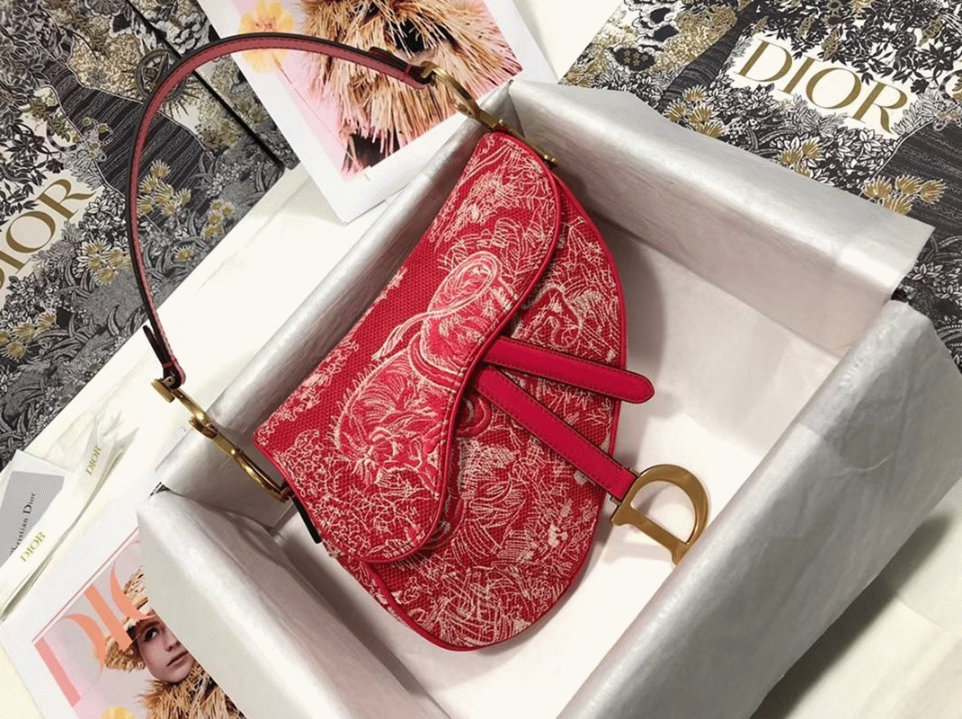 Dior Saddle Bag Imitation in Red Toile de Jouy Reverse Jacquard angle 4