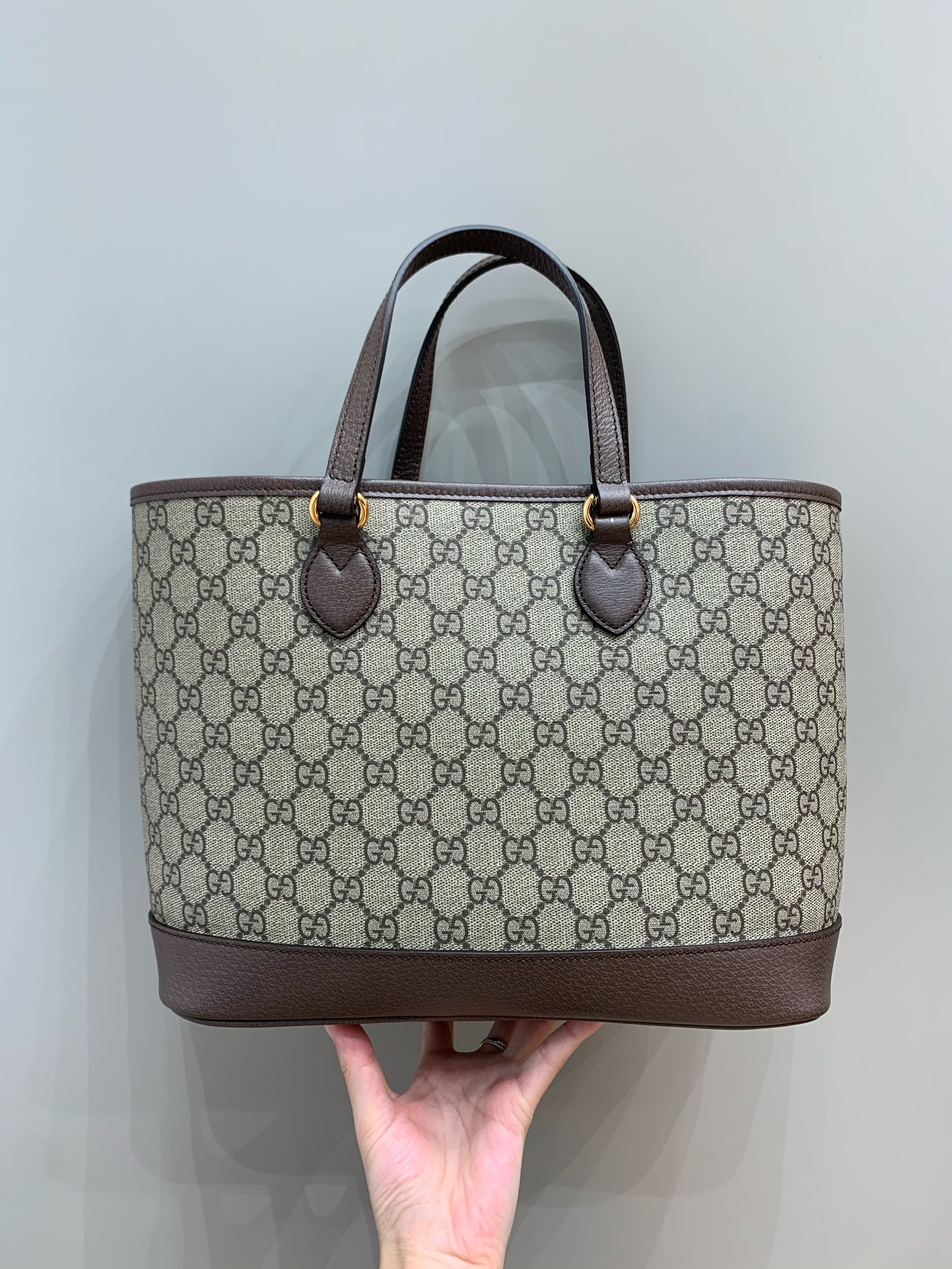 Ophidia mini tote bag angle 2