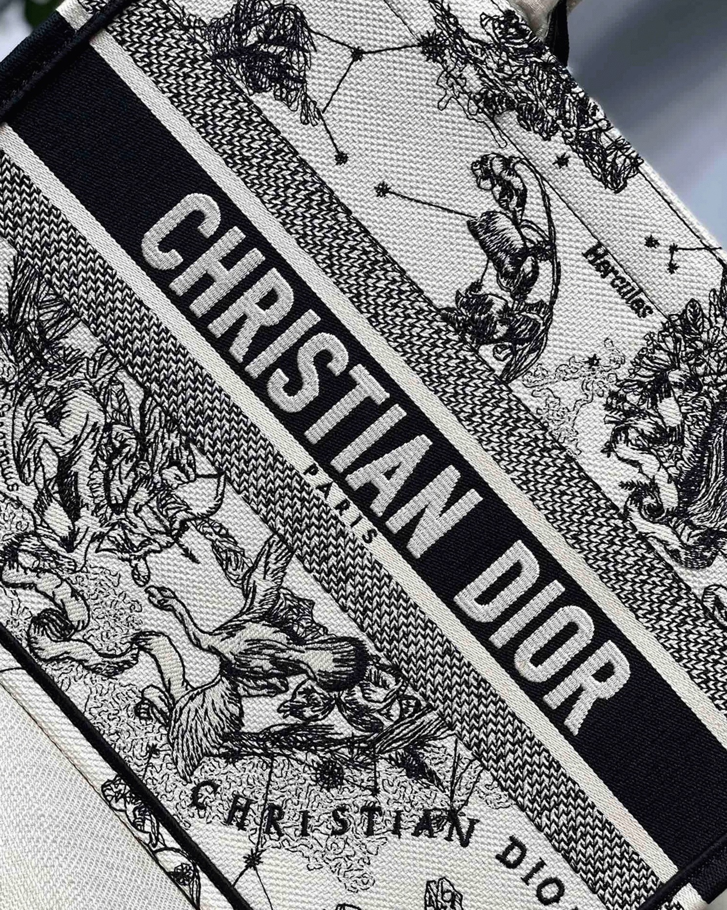 Dior Large Book Tote Bag Replica in White Toile de Jouy Zodiac Embroidery angle 3