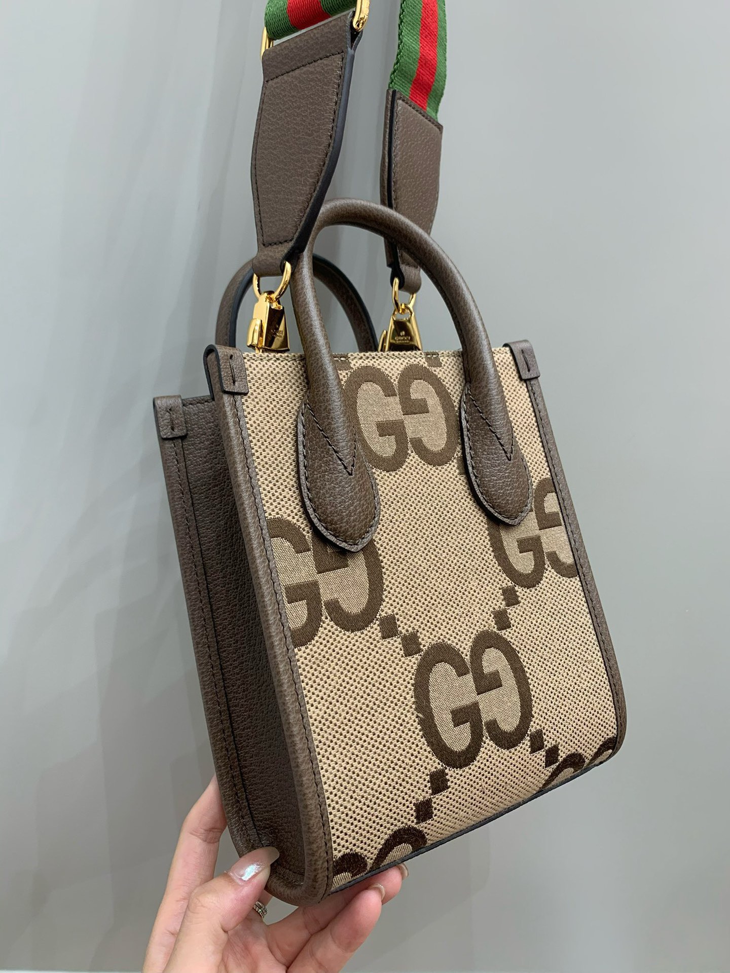 Jumbo mini bag angle 2