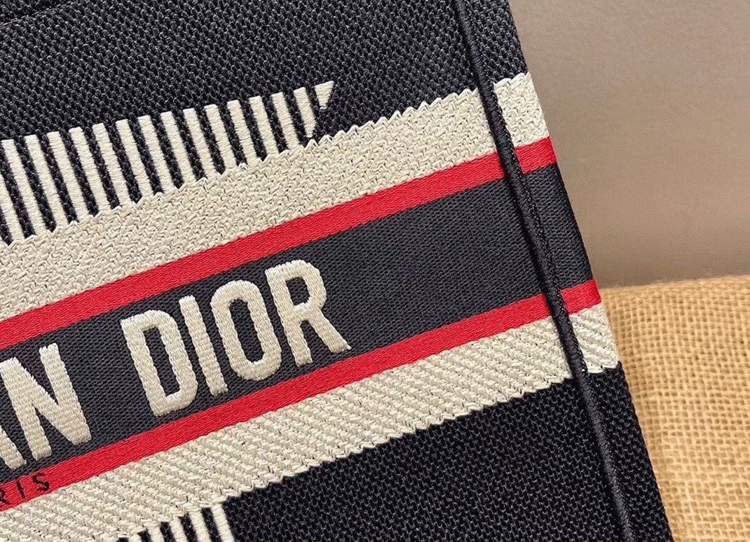 Dior Large Book Tote Bag Replica in DiorAlps Blue Three-Tone Embroidery angle 5
