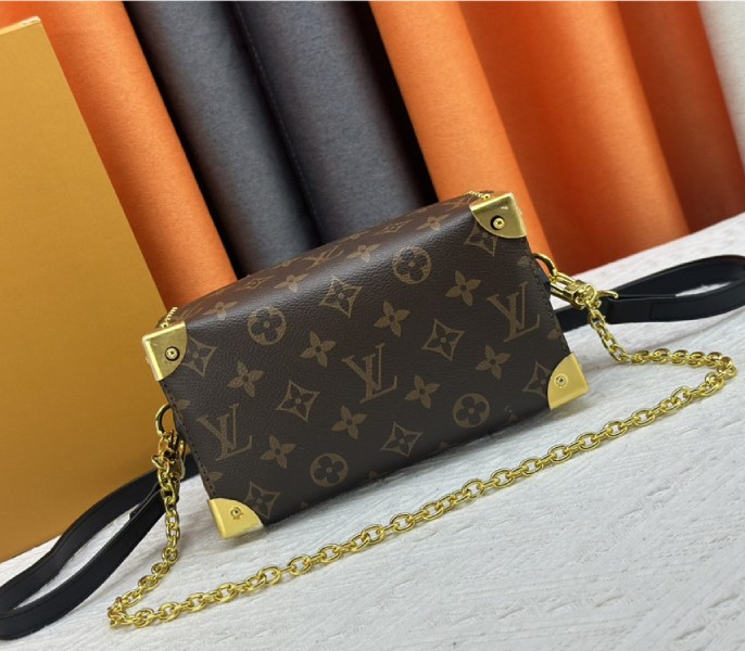 Louis Vuitton Monogram Canvas Cruise 2025 Speedy 20 Trunk Bag In Black angle 5