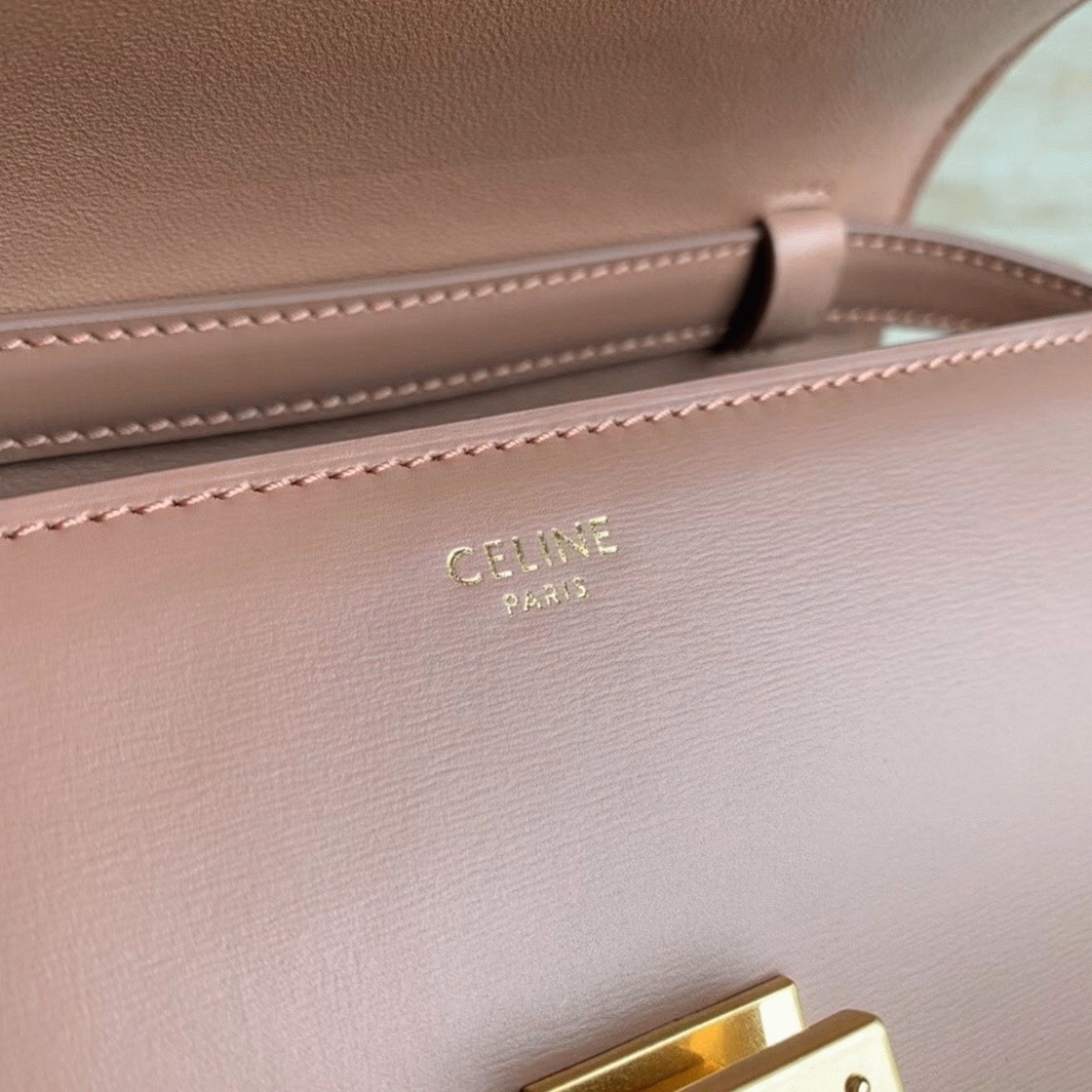 Top Quality Replica Celine Classic Box Teen Bag In Antique Rose angle 4