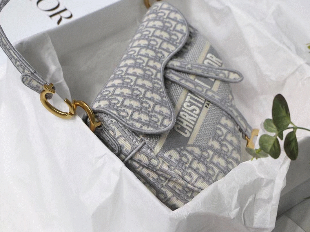 Dior Saddle Bag Knockoff in Grey Dior Oblique Embroidery angle 3