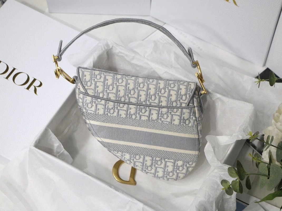 Dior Saddle Bag Knockoff in Grey Dior Oblique Embroidery angle 5