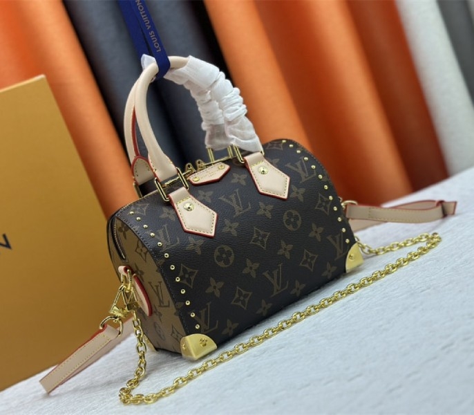 Louis Vuitton Monogram Canvas Cruise 2025 Speedy 20 Trunk Bag In Natural angle 2