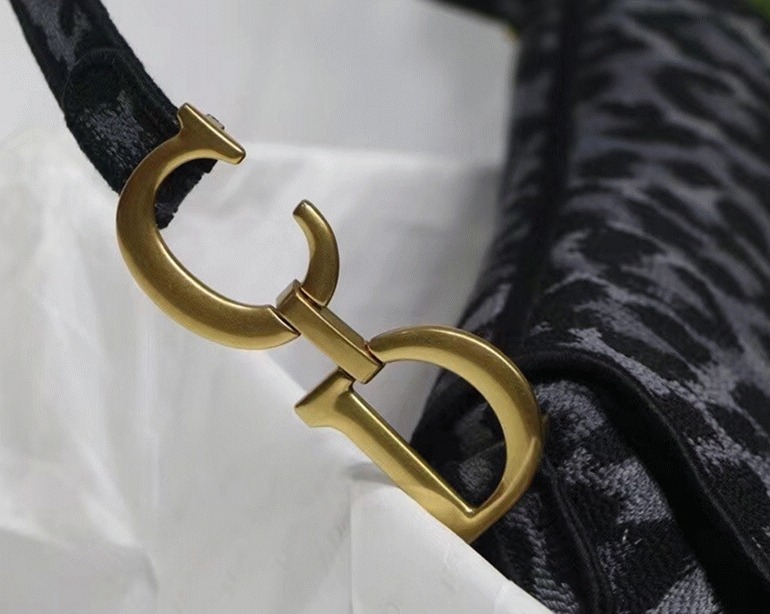 Dior Saddle Bag Replica in Grey Mizza Embroidery angle 2
