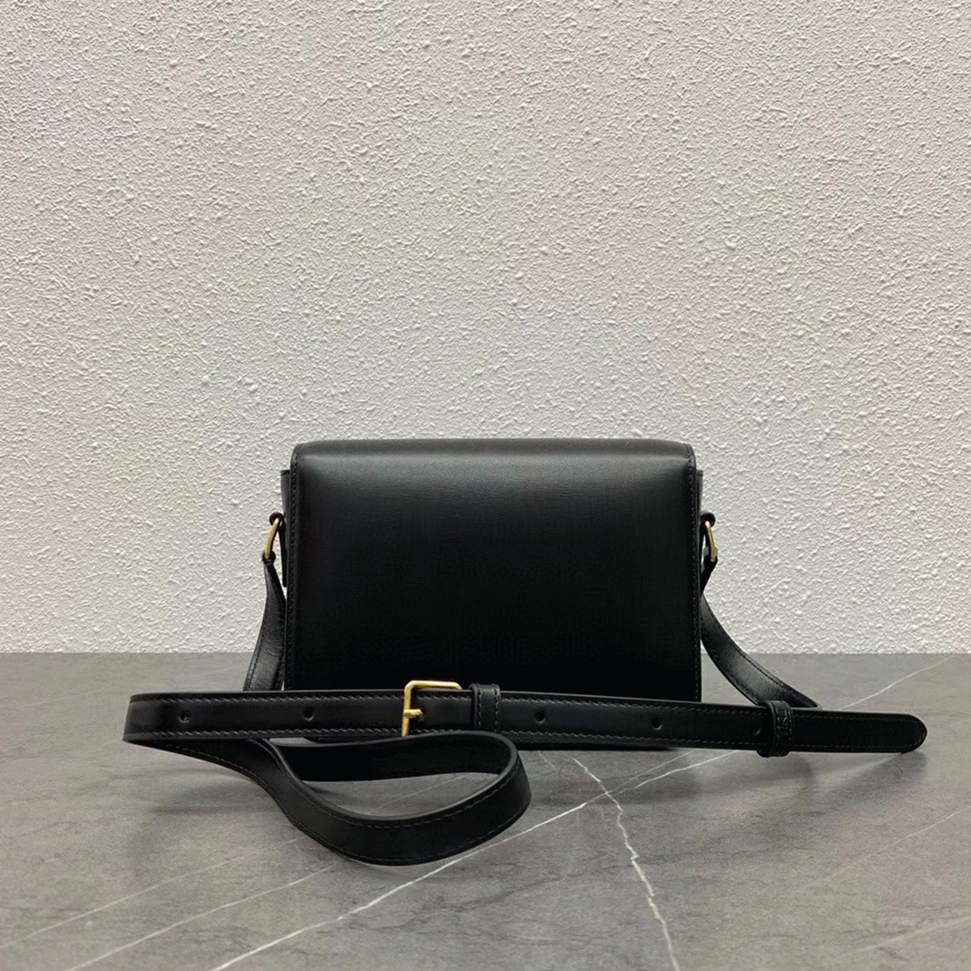 Top Quality Knockoff Celine Triomphe Teen Bag In Black angle 2