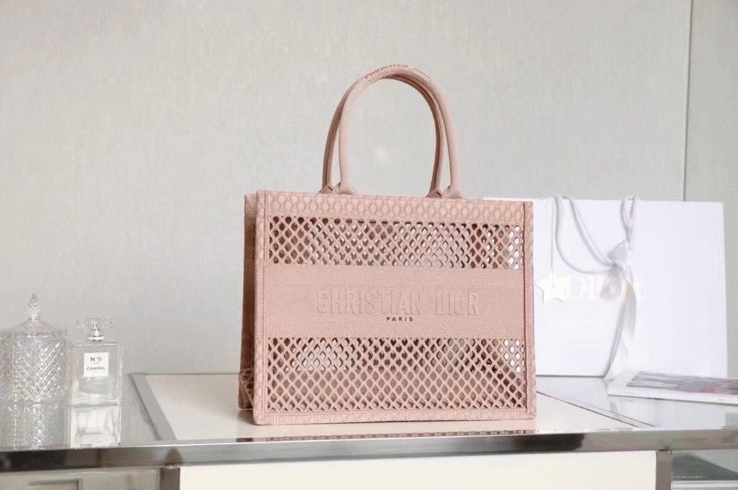 Dior Large Book Tote Bag Replica in Beige Mesh Embroidery angle 4