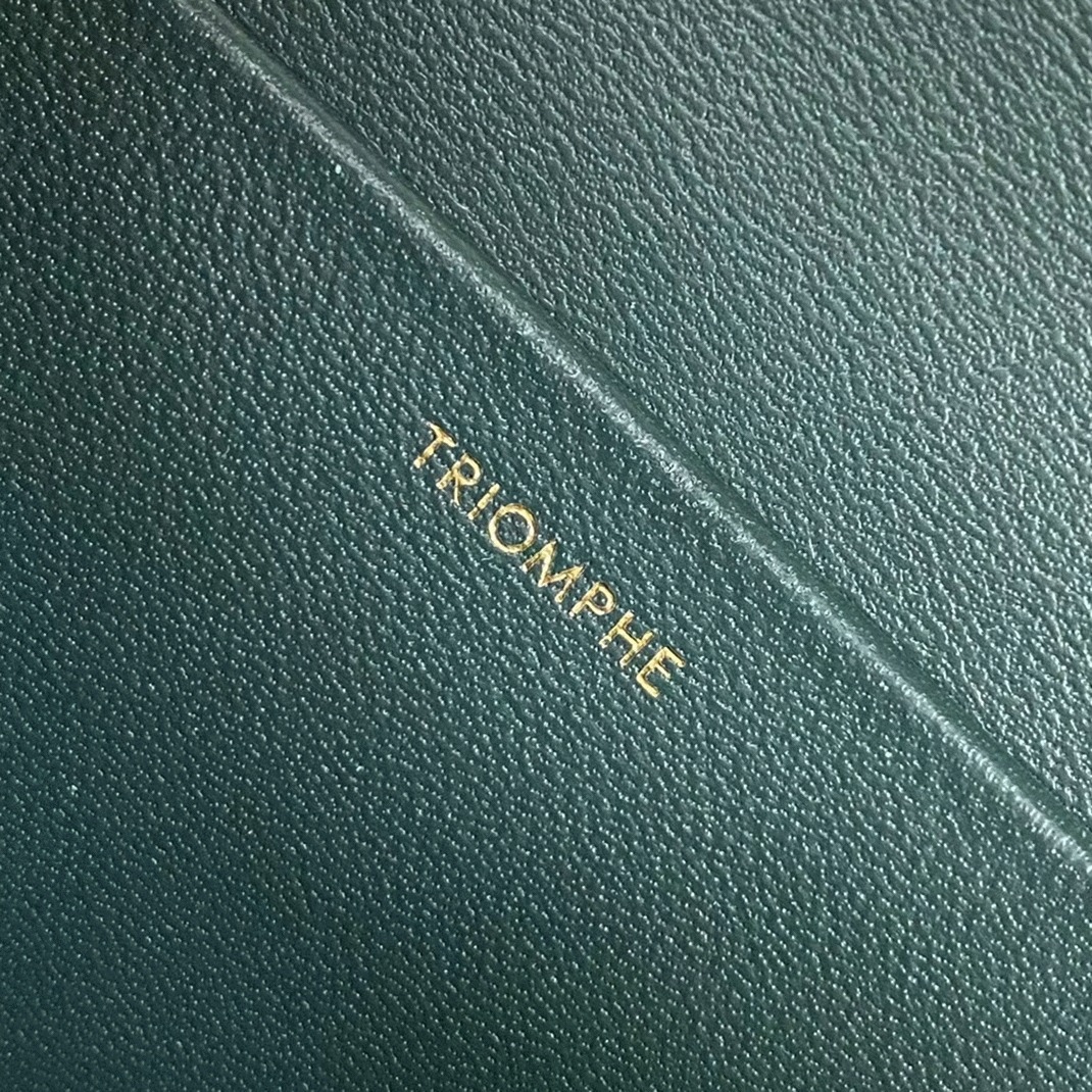 Top Quality Fake Celine Triomphe Medium Bag In Amazone angle 4