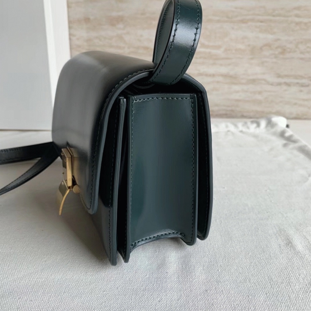 Top Quality Replica Celine Classic Box Small Bag In Amazone angle 5